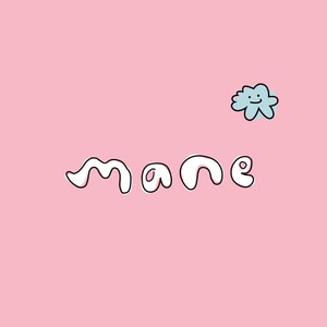 Mane by Jen Atkin