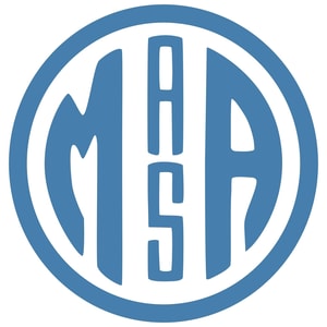 MASA Chips