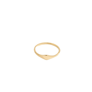 Mazin Jewels Micro Signet Ring