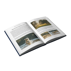 Meminto Life Book