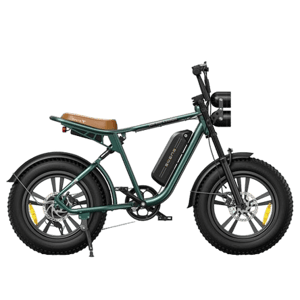 ENGWE M20 Electric Bikes