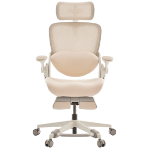 MUSSO E80 Muse