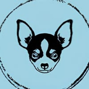 My Little Chihuahua