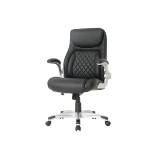 NOUHAUS Posture Ergonomic Chair
