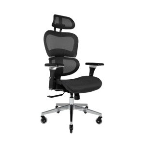 NOUHAUS Ergo3D Ergonomic Office Chair