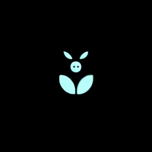 NovusEros