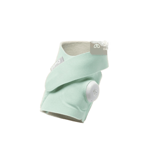 Owlet Dream Sock