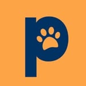 patolo