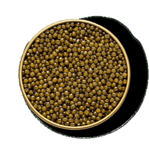 Petrusco Caviar Royal Ossetra