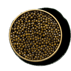 Petrusco Caviar River Beluga Hybrid