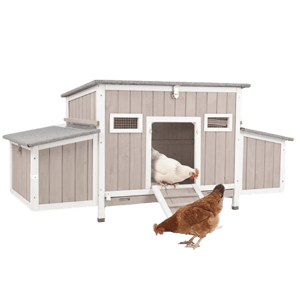 PETSCOSSET Medium Chicken Coop