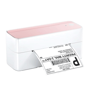 Phomemo PM241-BT