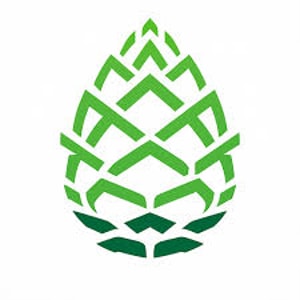 Pinecone Research