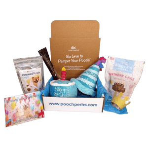 Pooch Perks Barkin' Great Birthday Box
