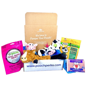 Pooch Perks Pampered Pooch Box