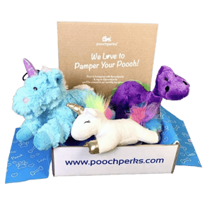 Pooch Perks Toys Only Dog Box