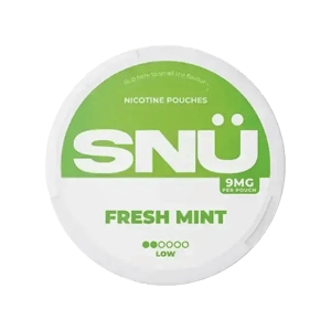 Pouch Central SN&Uuml; Fresh Mint