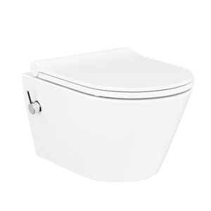 Praktiker WC Sp&uuml;lrandlos