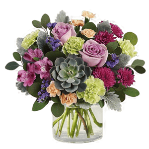 Proflowers Botanical Dream