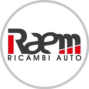 Raem Ricambi auto
