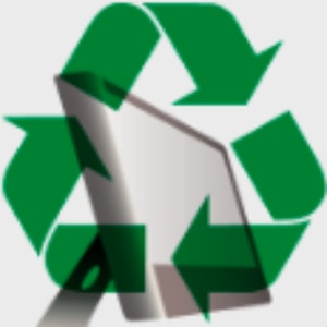 Risemark Mobile Buyer