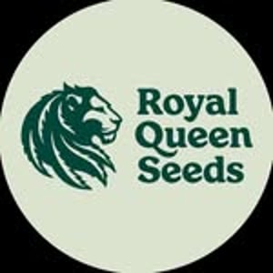 Royal Queen Seeds