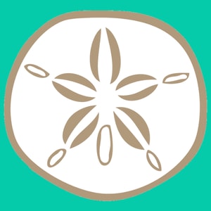 Sand Dollar Dubai