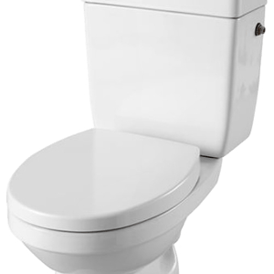 Sanitaire-distribution.fr Pack WC Manille Duo