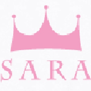 SARA School