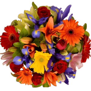 Sarah's Flowers Sunset Blend in Vase Special