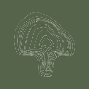 Scandi Shrooms