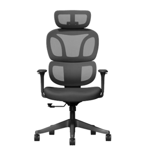 FlexiSpot Ergonomische bureaustoel BS5