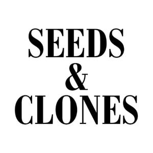 Seeds & Clones