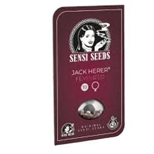 Sensi Seeds Jack Herer