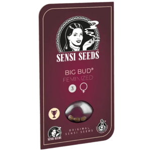 Sensi Seeds Big Bud Feminized