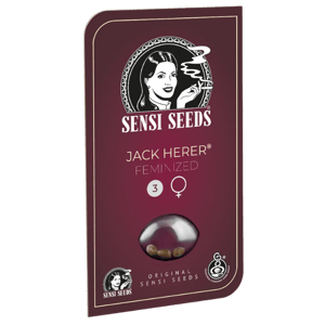 Sensi Seeds Jack Herer Feminized