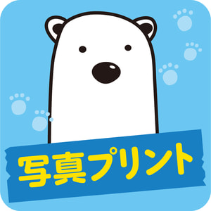 Shirokuma Power