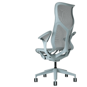 Shobundo Herman Miller Cosm Chair