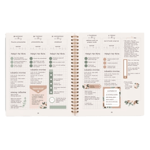 Silk and Sonder 12-Month Plan