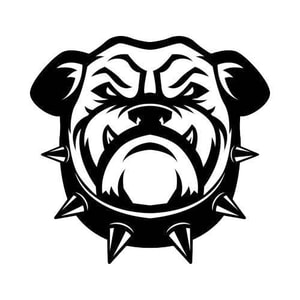 Spike Dog Collars