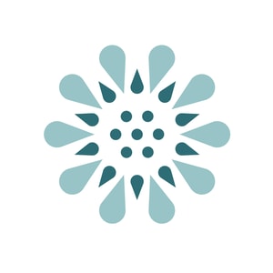 Spoonflower