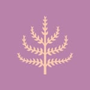 Spring & Mulberry