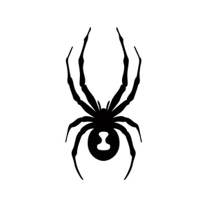 Spyder