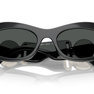 Sunglass Hut Versace VE4480U