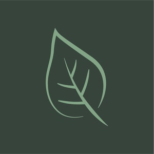 Sustainable Furniture