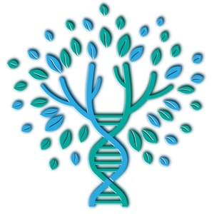 Swiss BioEnergetics