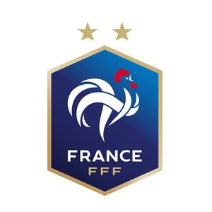 The FFF Store
