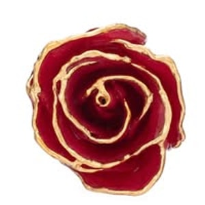 The Forever Rose