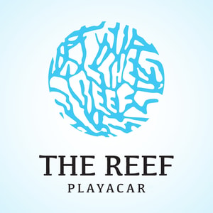 The Reef Resorts