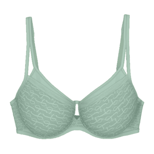 Triumph Signature Sheer